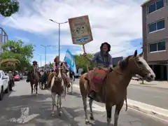 Fiesta por el Día de la Tradición: “La patria se hizo a caballo”