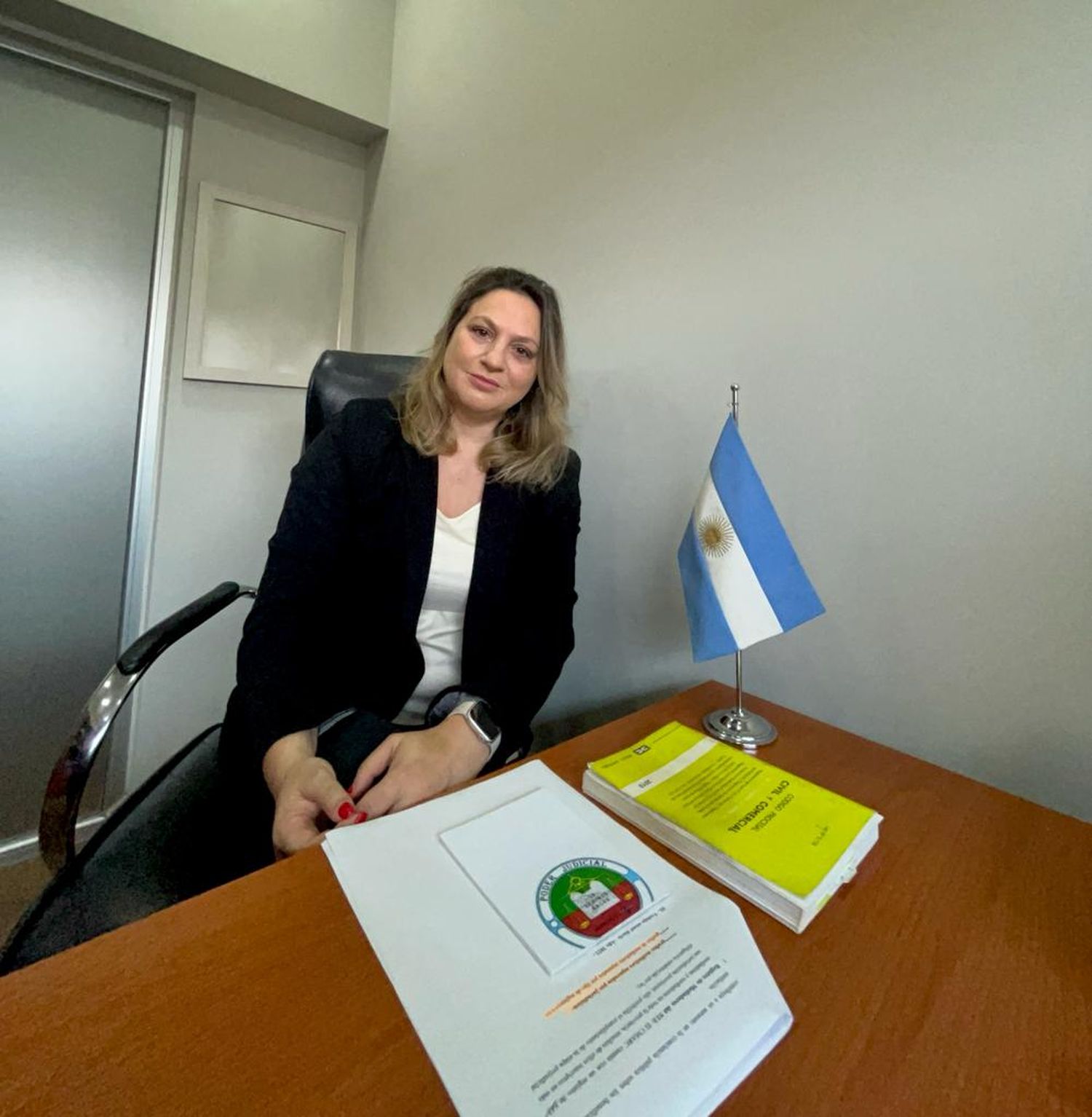“Tenemos un promedio de 1.000 a 1.300 mediaciones mensuales en la provincia”