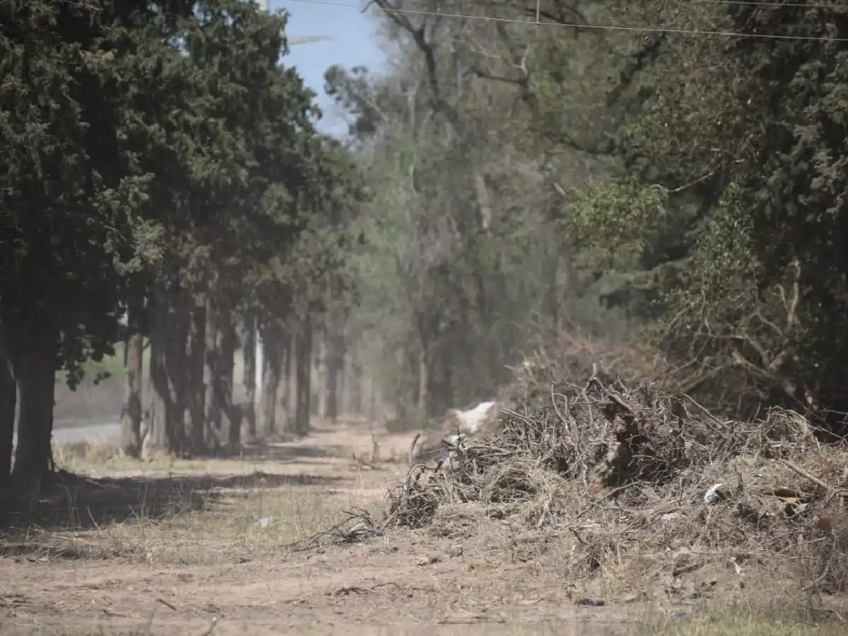  Juntan firmas para preservar el Circuito del Bosque ante el avance de loteo del Parque Industrial
