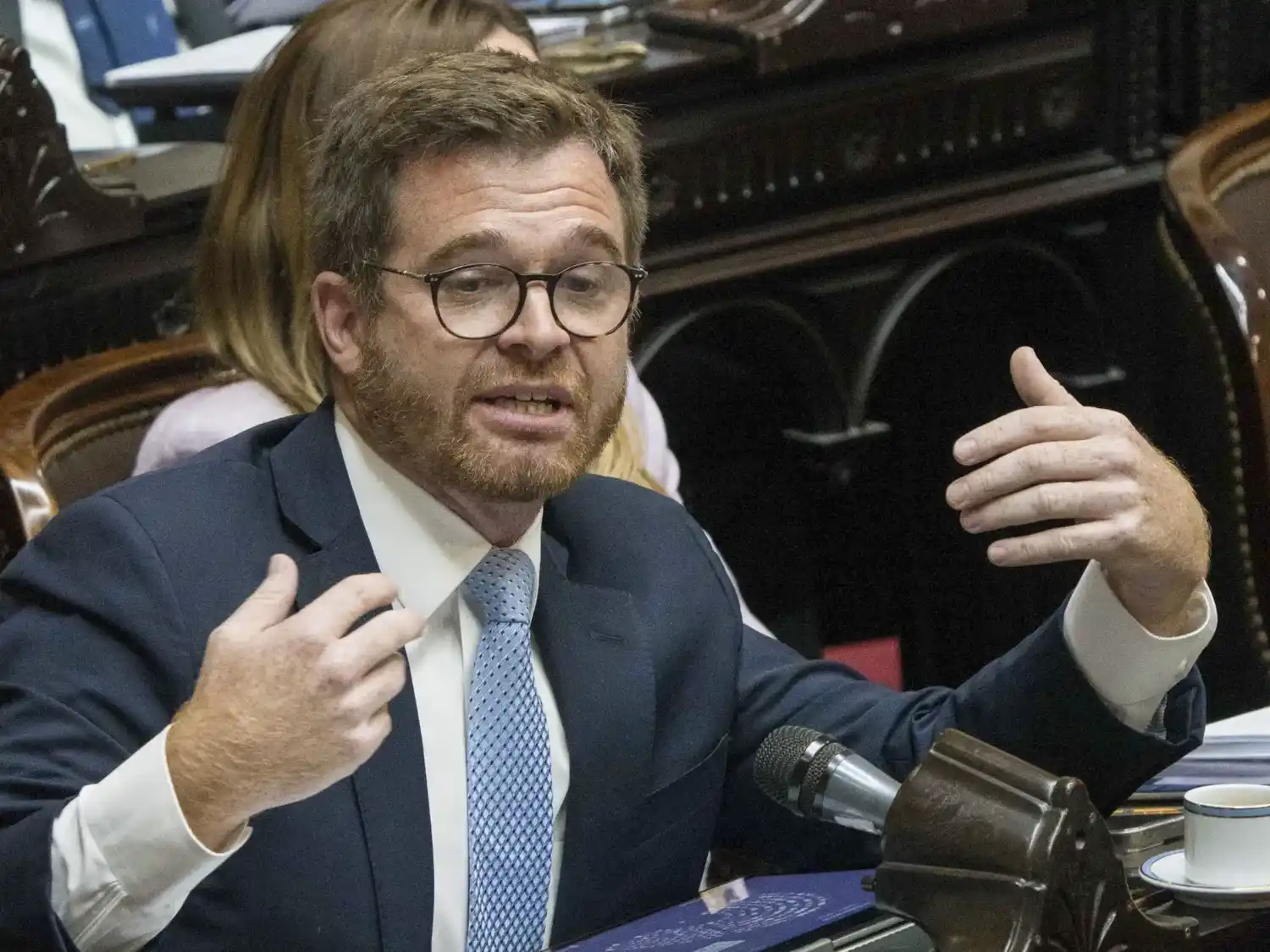 Nicolás Massot, diputado nacional.