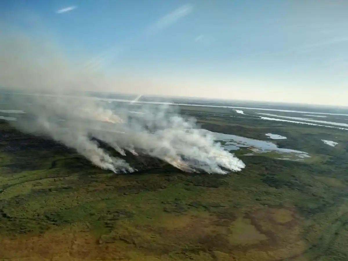 Procesan a siete personas por realizar quemas en las islas del Delta del Paraná