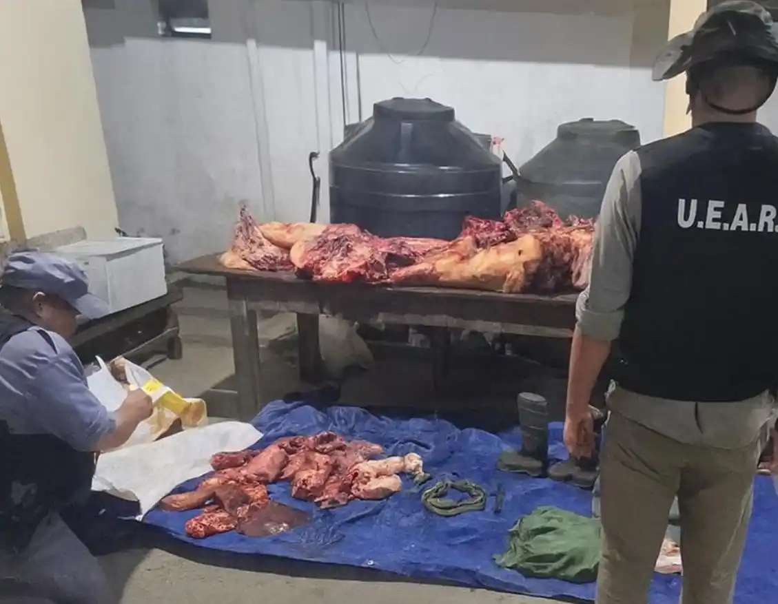 Dos detenidos y un vehículo secuestrado tras un operativo de la Uear