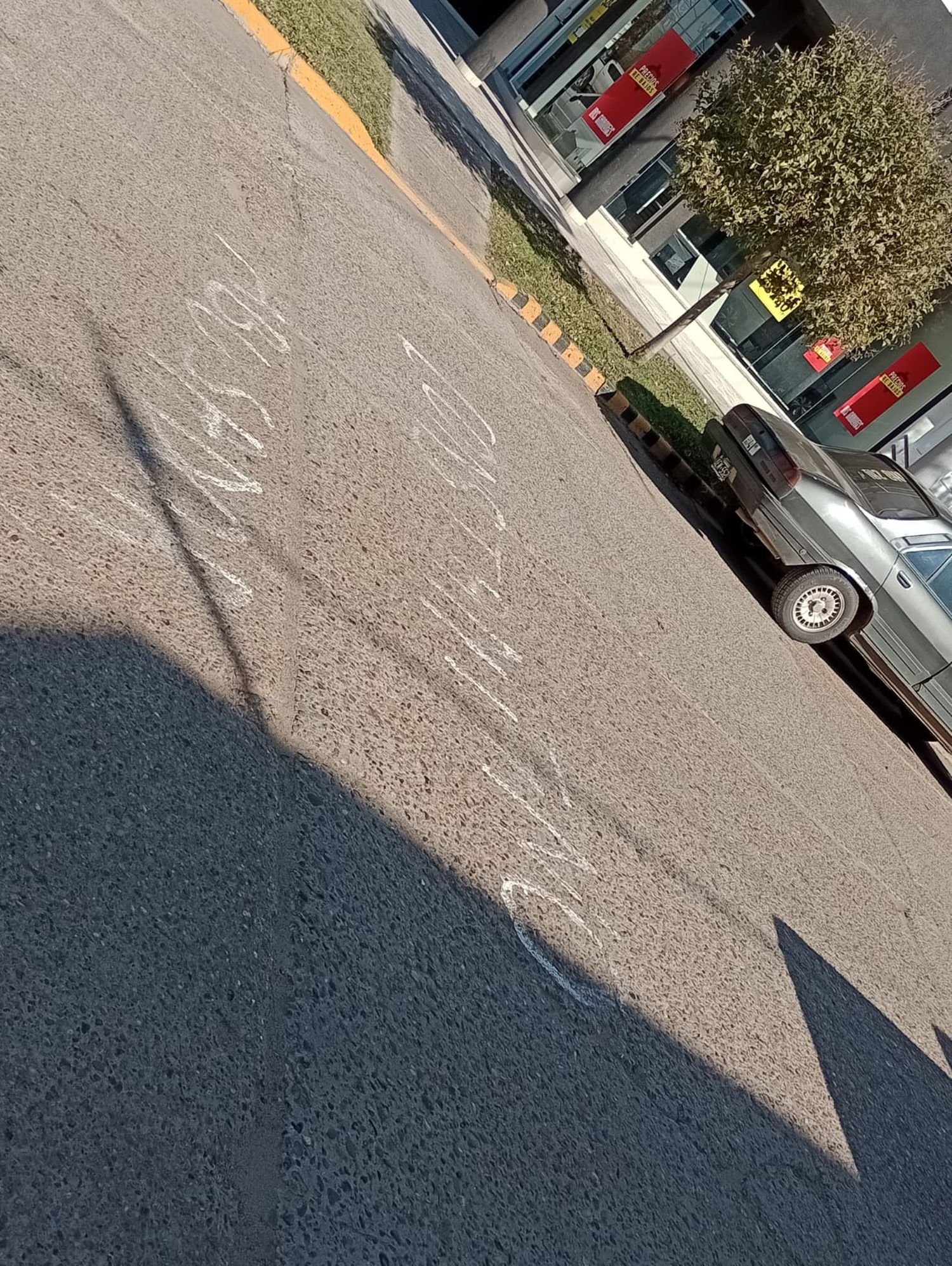pintada 3