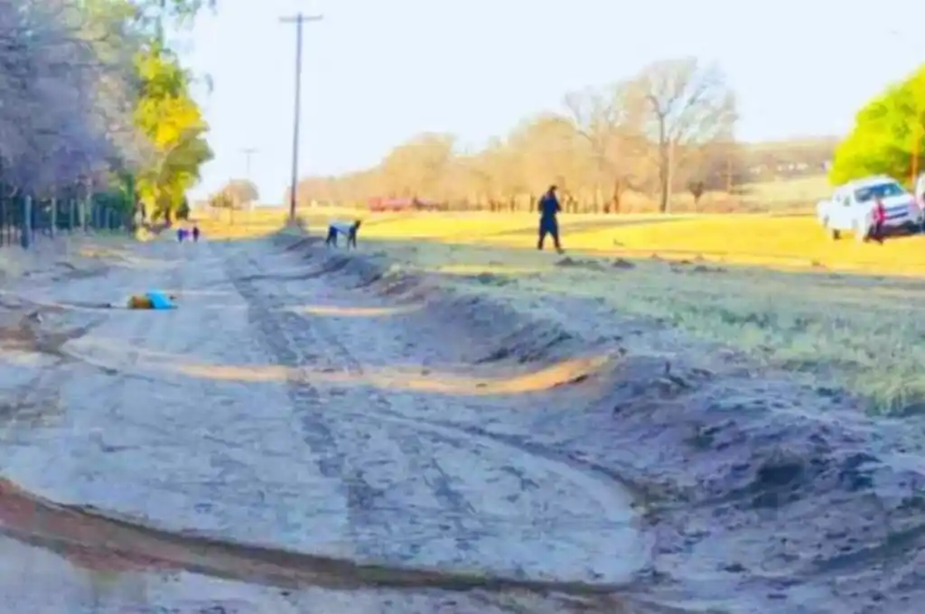 La Pampa: un funcionario atropelló a un perro a propósito