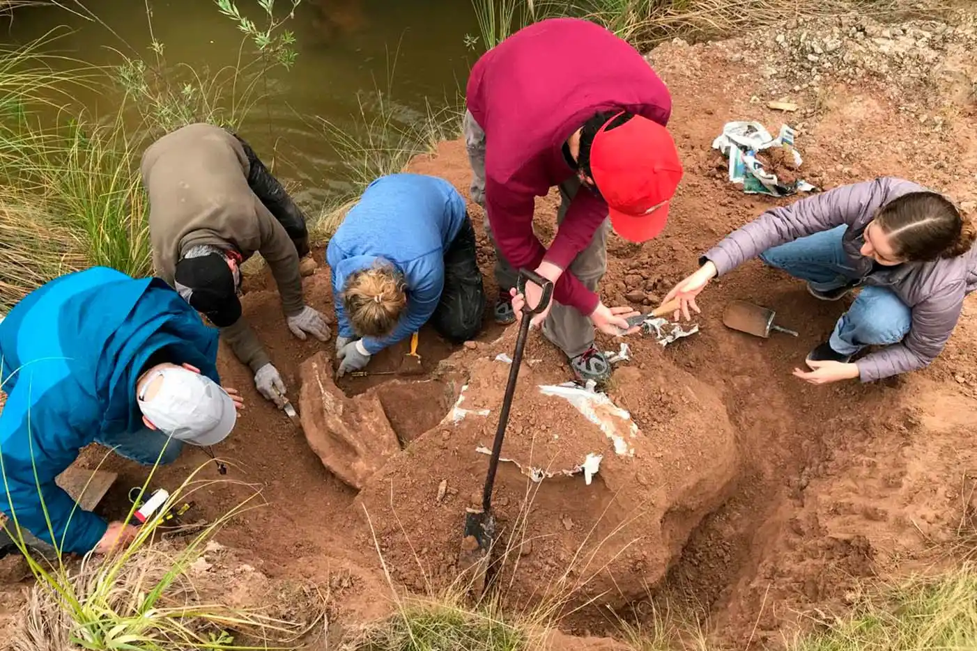 Hallazgo paleontológico en Entre Ríos: descubren pelvis de milodón cerca del Salto Ander Egg
