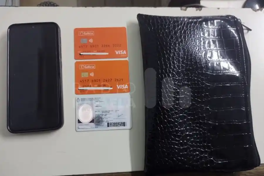 Un joven de 21 años le robó celular, cartera y documentos a una mujer.