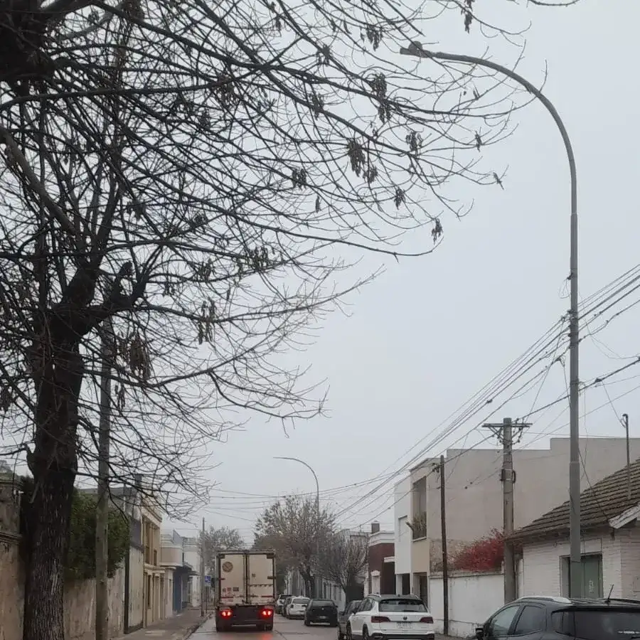 Tiempo inestable en Gualeguay: tormentas y frío para los próximos días