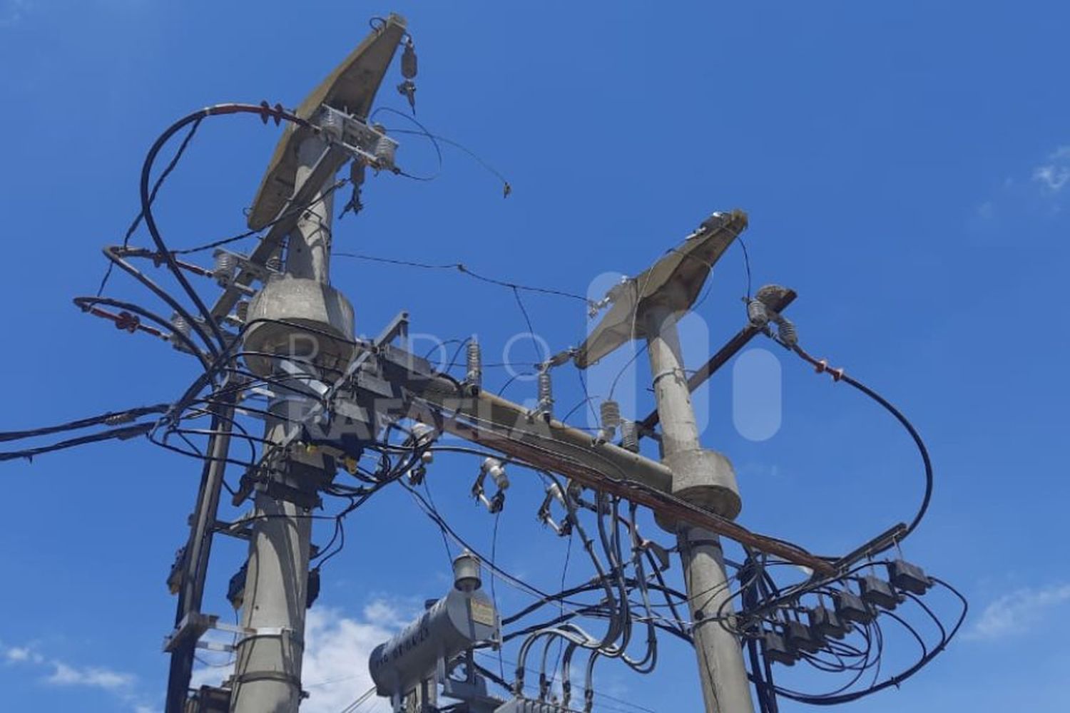 Una paloma habría dejado sin luz a dos barrios del Sur de la ciudad: ¿qué pasó?