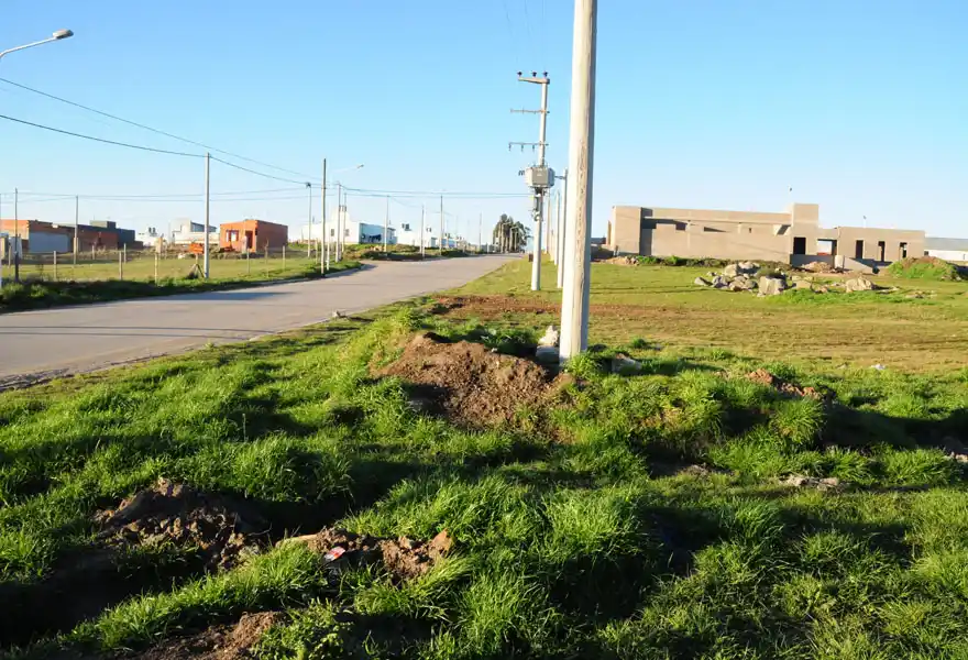 Continúa la preocupación por  perros muertos en el barrio golf. Tandil despierta