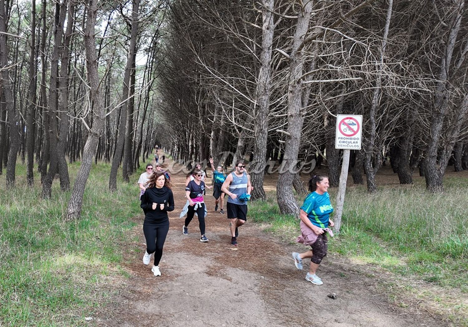 Competencia al aire libre
