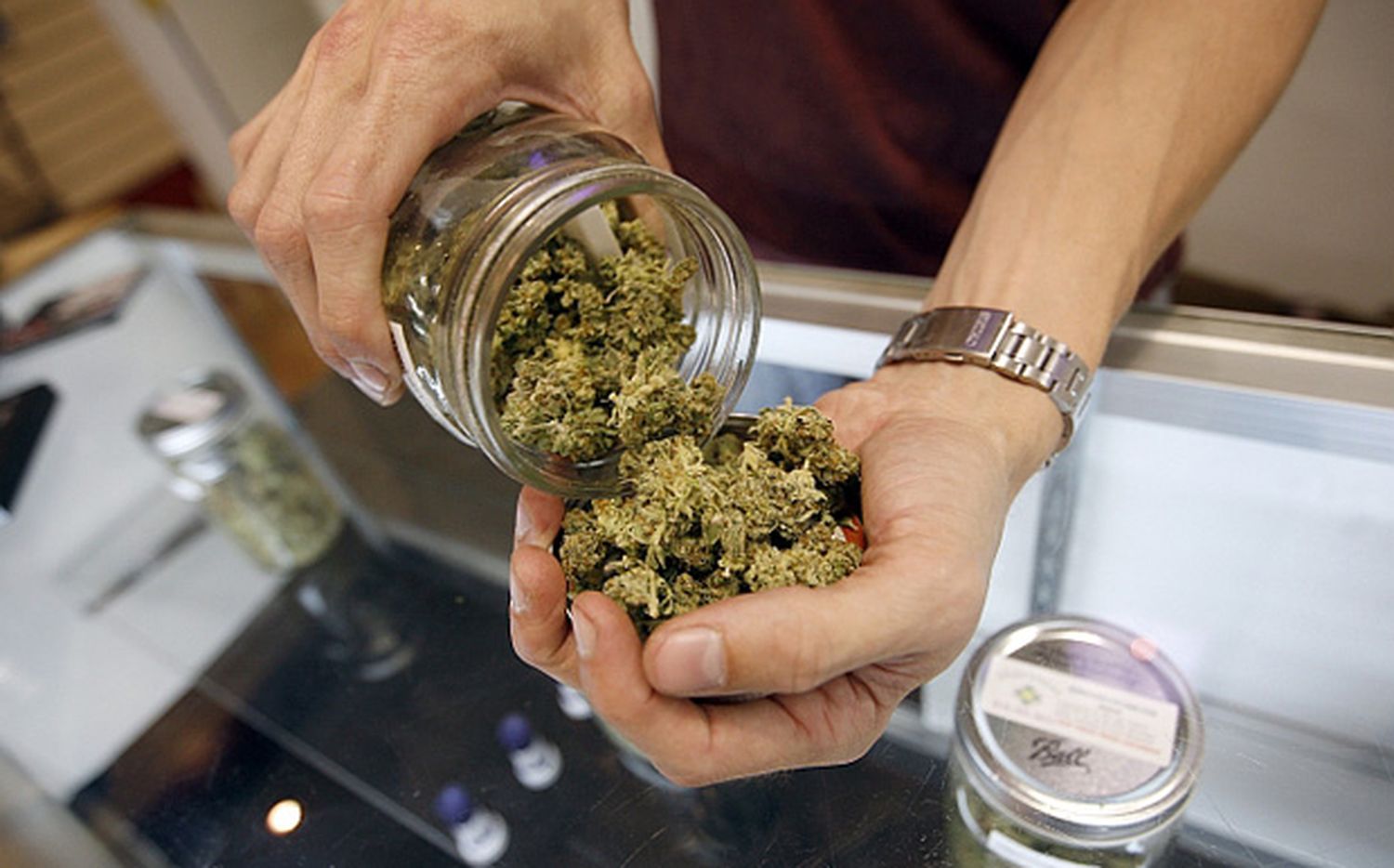 Comenzó la venta de marihuana legal en farmacias uruguayas