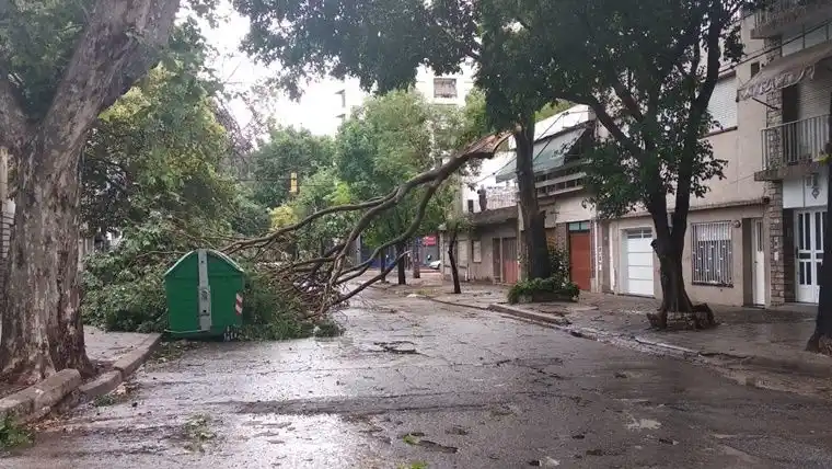 Cortes de luz y numerosos inconvenientes por la tormenta en Rosario
