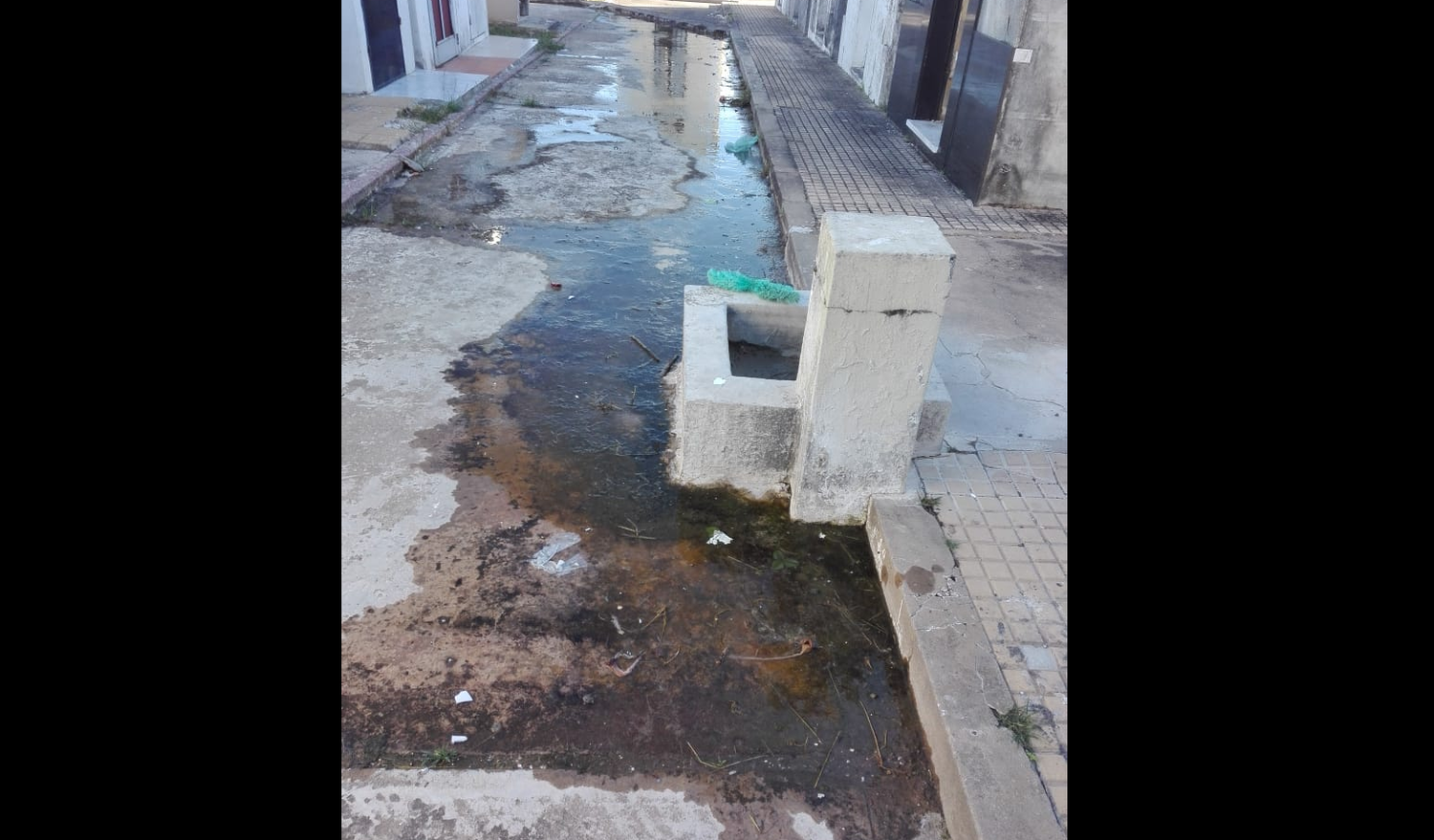 Reporte ciudadano: “Cementerio Municipal hoy”