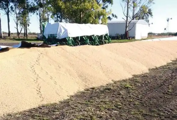 FARER condenó un nuevo ataque contra el campo  y el silencio oficial: "Es un  mensaje tendiente a consagrar la impunidad"
