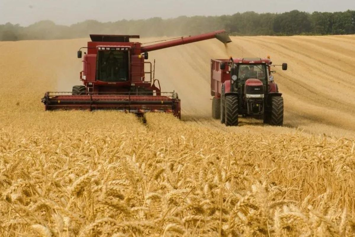 La Bolsa de Cereales atribuye esta tendencia positiva a varios factores,