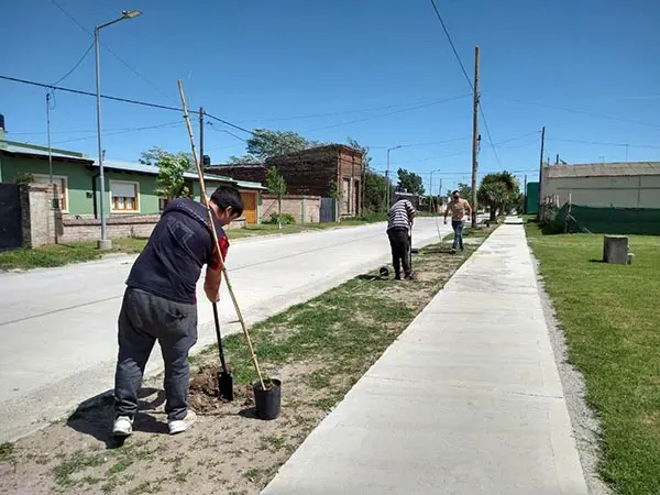 Plantaron más de 150 árboles tras obras en la calle Deferrari