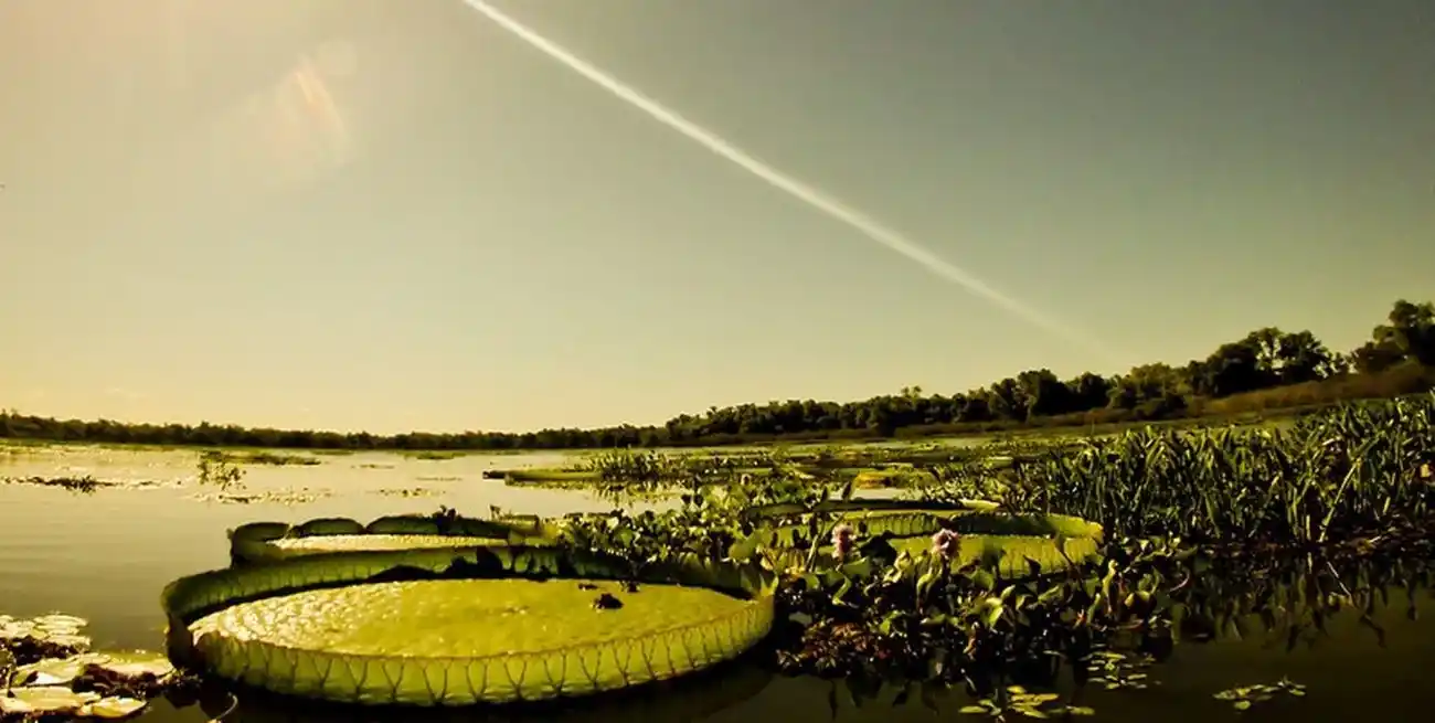 Saldo positivo para Santa Fe.