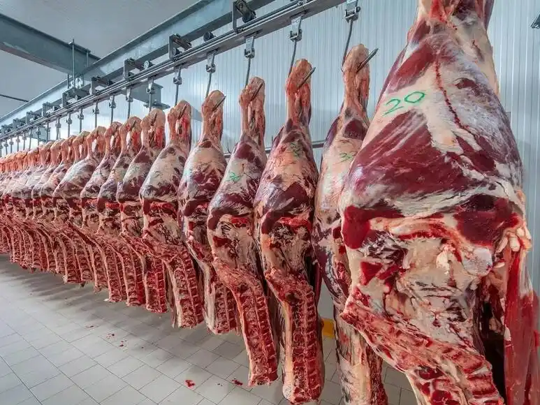 En el primer trimestre del año se retrajo la producción de carne vacuna