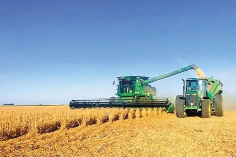 En 2022 los agroexportadores liquidaron US$ 22.309 millones en granos