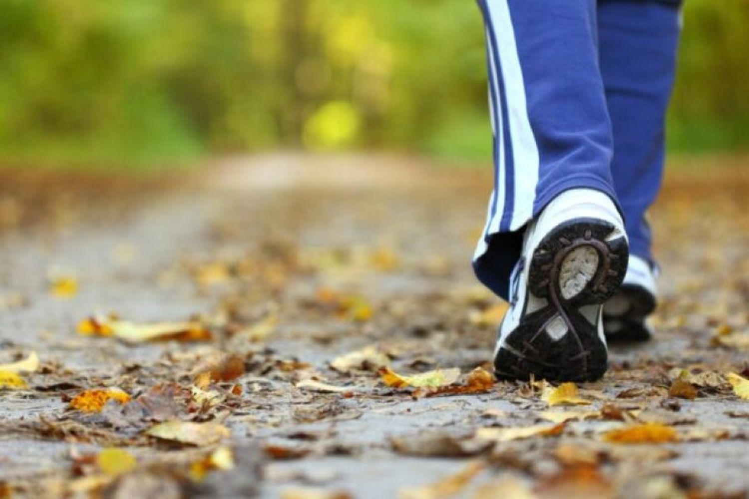 21 K: entrenamiento de preparación