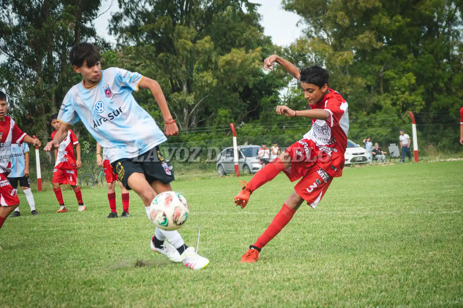Argentino