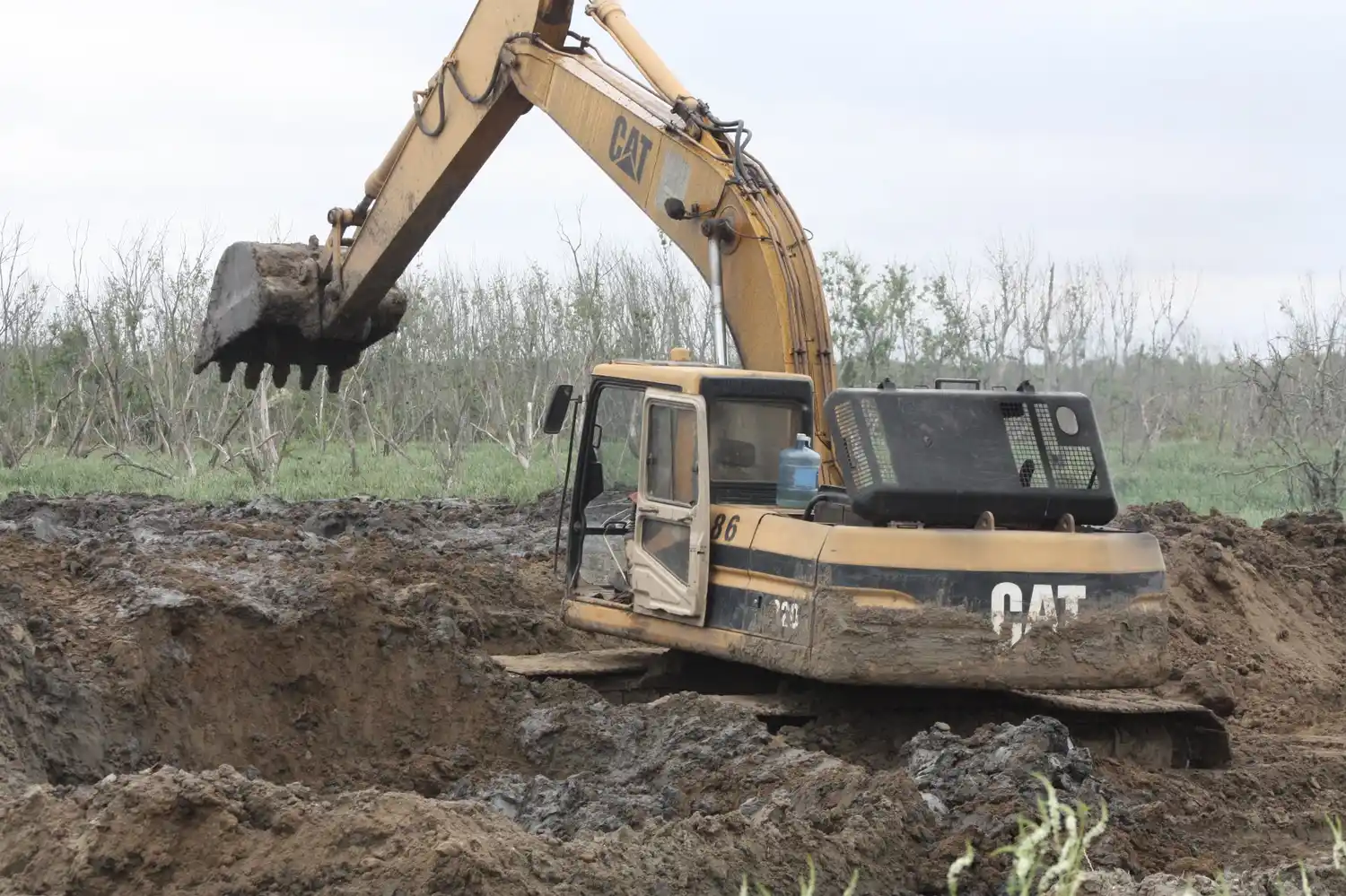 Berazategui: Denuncian “nuevo avasallamiento” del bosque de Hudson ante organismo provincial