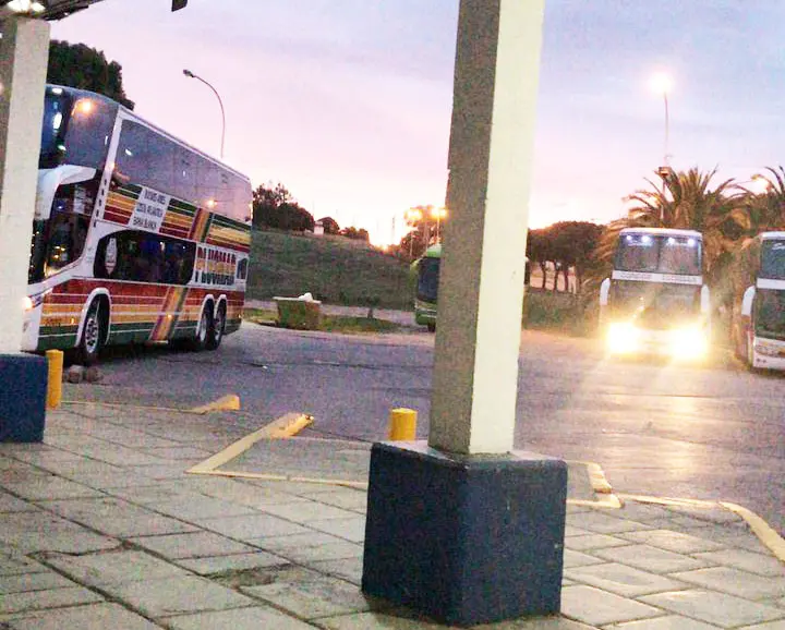 Terminal: transcurrió enero con un 30% de actividad