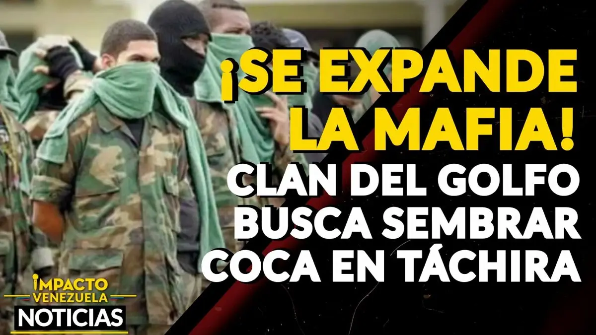 ¡SE EXPANDE LA MAFIA! Clan del Golfo busca sembrar coca en Táchira