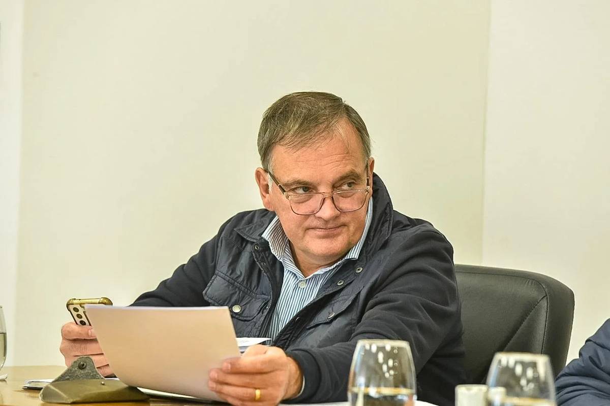 Berthet: La mayoría la tiene el oficialismo; la pregunta es si existe decisión política de aprobar el proyecto