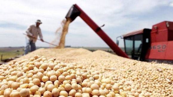 Récord agroexportador: US$19.145 millones en el primer semestre