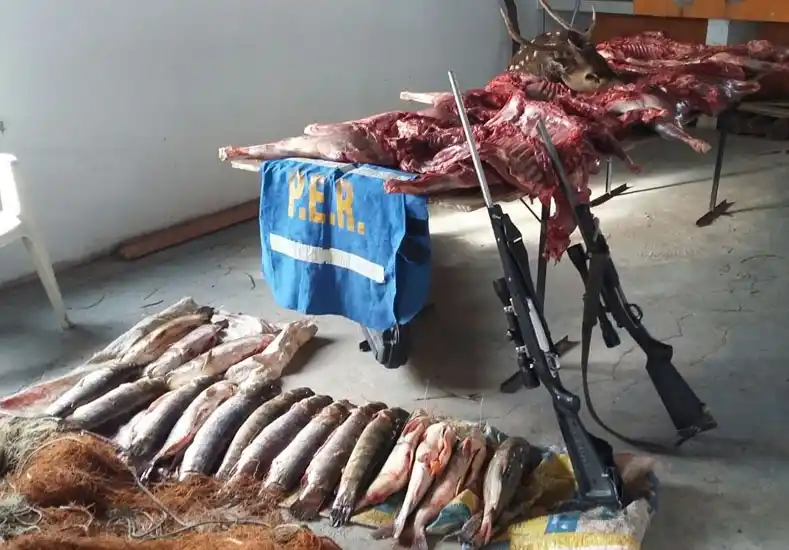 Secuestraron armas y animales por infracción a la Ley de Caza