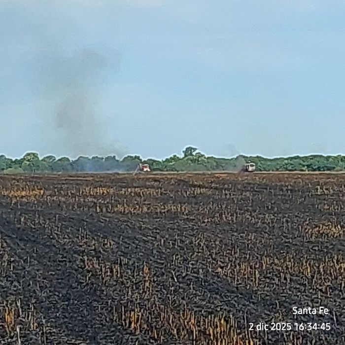 incendio maria juana colonia margarita san vicente campo rastrojo trigo - 1