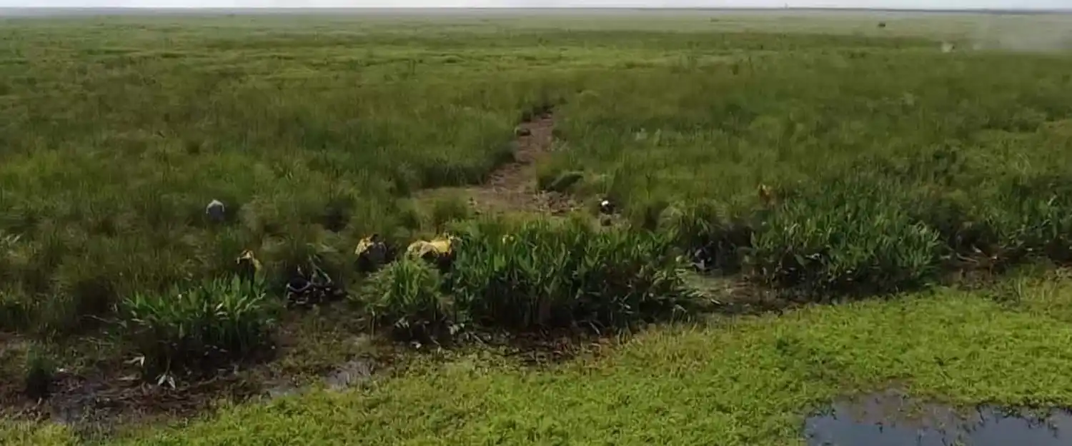 Brigadistas de Entre Ríos y Buenos Aires continúan trabajando para sofocar incendios al sur de las islas del Delta