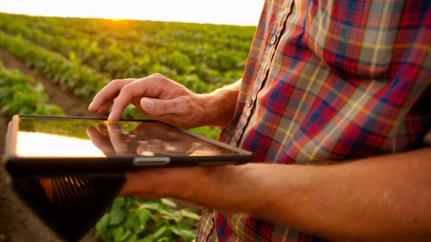 Formación sobre Análisis Técnico en el Agro