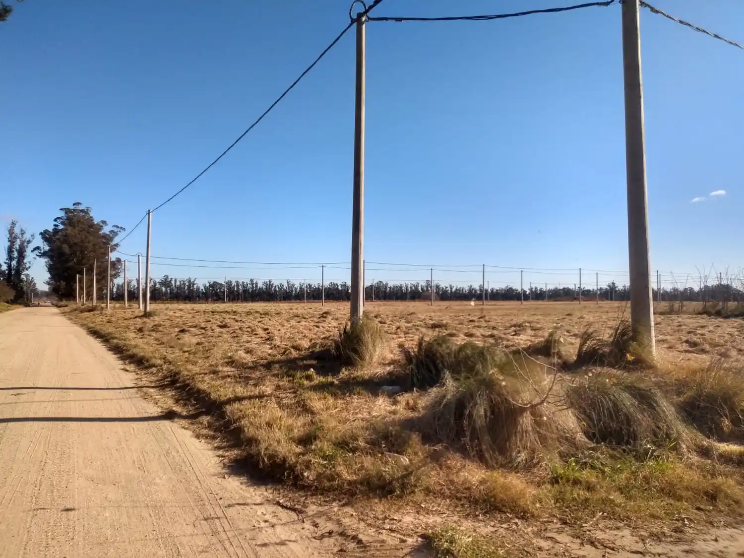 Al autorizar la urbanización privada, el oficialismo apostó a generar lotes para influir sobre el mercado