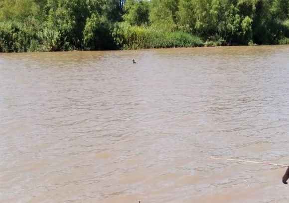 Peligro en el riacho San Pedro: niños continúan bañándose a la altura del Paseo Público