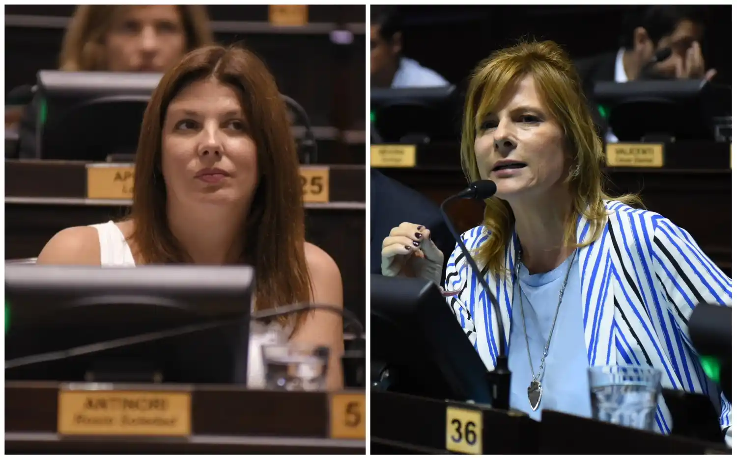 Dos diputadas bonaerenses se trenzaron en Twitter por la represión en La Plata