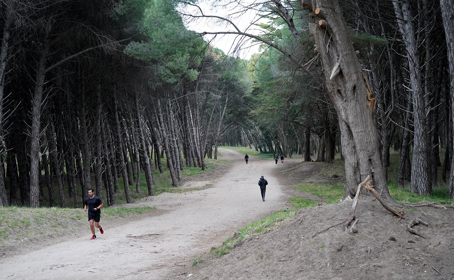 Parque Miguel Lillo. Tema central de la charla de hoy