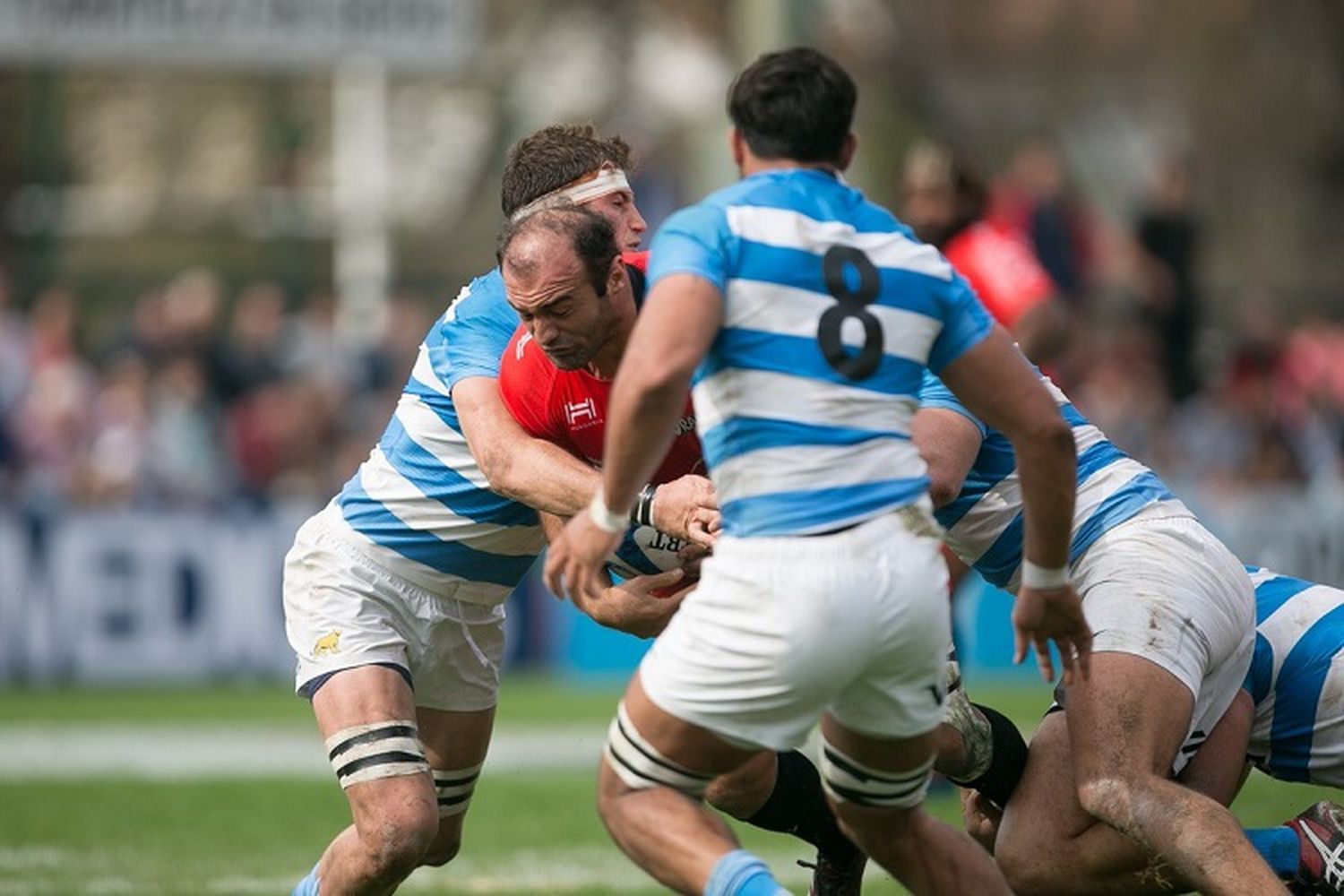 Con el debut de un marplatense, Argentina XV venció a Toulon