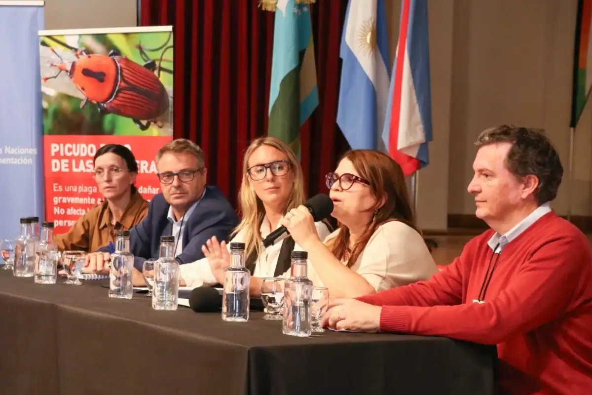 El Centro de Convenciones fue sede de una jornada regional de capacitación para prevenir la plaga del picudo rojo