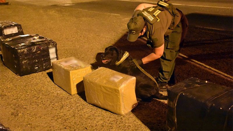 Descubrieron una encomienda con 19 kilos de droga en Entre Ríos