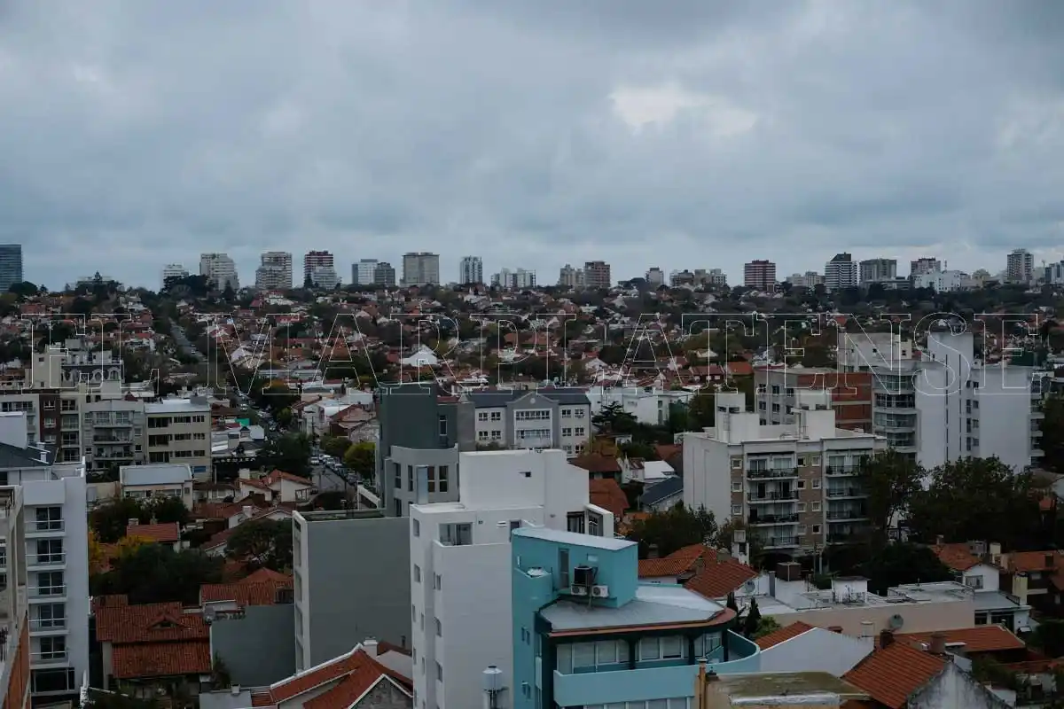 Violencia en Mar del Plata: "La ciudad está partida en dos"