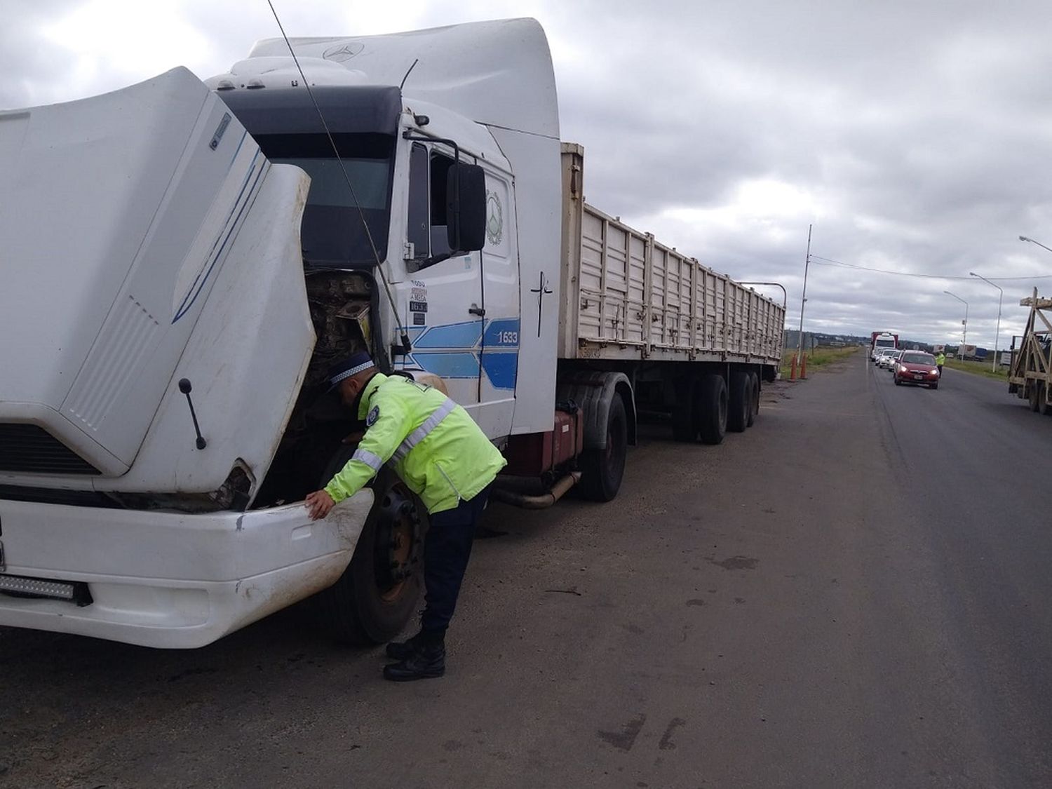 Detuvieron camión con documentación falsa en operativo de control vehicular 