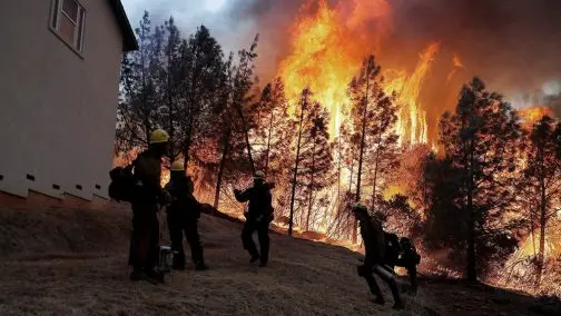 Llegan a 29 los muertos por el incendio forestal en California