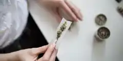 En la actualidad hay mas fumadores de marihuana que de tabaco