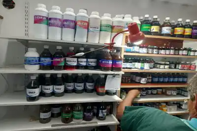 Secuestran fármacos equinos ilegales por 40 millones de pesos en allanamiento de Entre Ríos