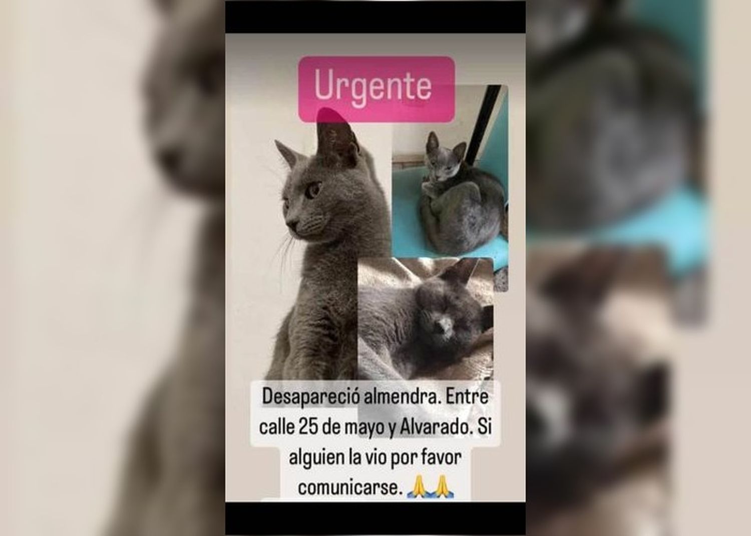 Desapareció Almendra