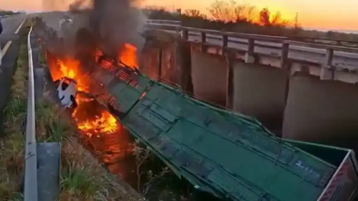 Tragedia en la Autovía 14: camión con autos 0 km se despista y se incendia en Corrientes