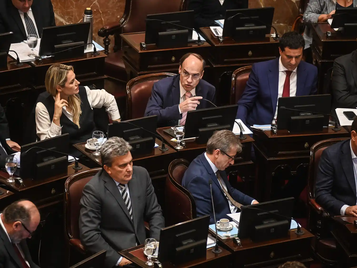 La ficha limpia fue rechazada en el Senado.
