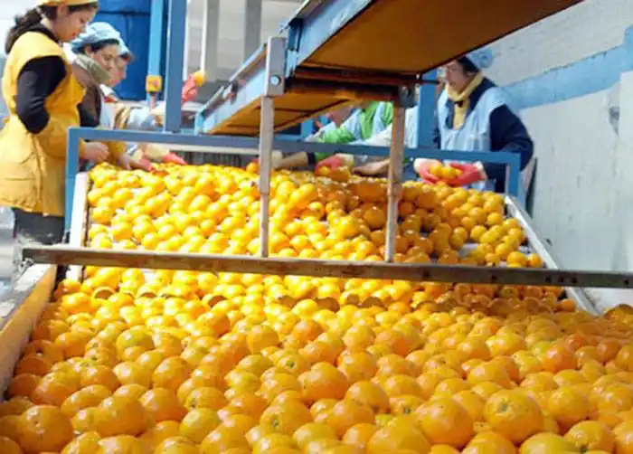 Crecieron las exportaciones  de carnes y frutas argentinas, según el Gobierno